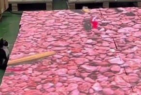 Кот оценил интерактивный цифровой пруд