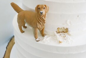 30 креативных тортов, которые похожи на произведения искусства