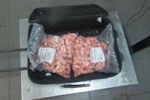 "Не игрушка": на границе России задержали женщину с сотнями эмбрионов в чемодане