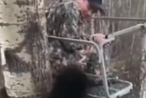 Медвежонок залез поздороваться