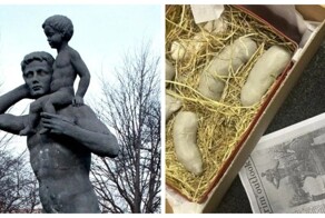 Художнику прислали коробку достоинств, но подходящего не оказалось