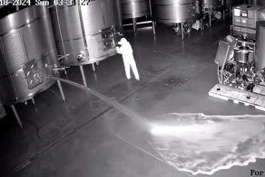 Испанец пробрался в винодельню, разлил 60 тысяч литров вина и попал на видео