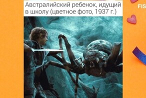 Кто в Австралии родился, тот не боится фильмов ужасов