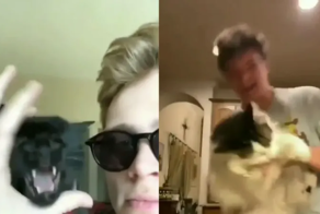 Парень решил повторить интернет-тренд со своим котом, но что-то пошло не так