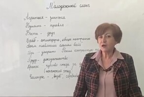 Видеоурок: как разговаривать с зумерами на одном языке