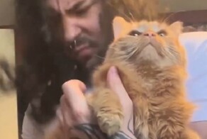 Зачем покупать бас-гитару, если дома есть кот