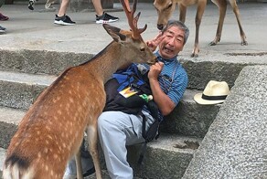 Оставайся сумасшедшей, Япония: 25 фотографий из Страны восходящего солнца