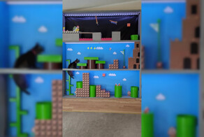 Парень собрал своему коту полосу препятствий в стиле Super Mario Bros