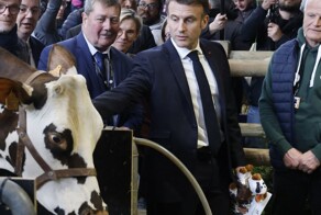 Сказ о том, как Макрон на выставку ходил