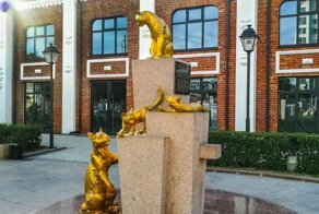 Какой подвиг совершили котики в блокадном Ленинграде