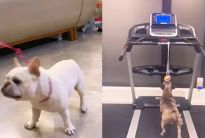 Мотивация заняться спортом для хороших, но пухлых мальчиков