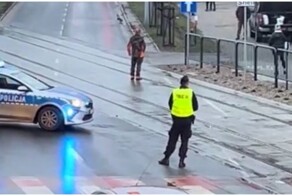 Семейство кабанов перебегает дорогу