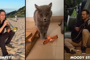 "Музыкальная пауза": новая зажигательная песня в стиле фламенко от The Kiffness