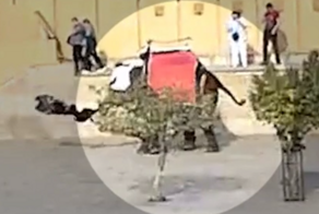 Нападение индийского слона на российскую туристку попало на видео