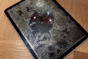 20 любопытных кадров, которыми поделились на просторах сети