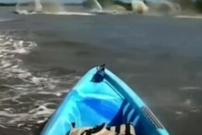Животные устроили горячую встречу мужчине на лодке