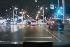 Дело Шамаича цветёт и пахнет