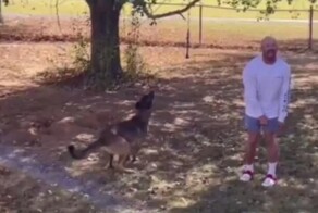 Собака "отомстила" подшутившему над ней хозяину