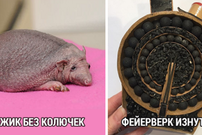 Возможность взглянуть на мир по-новому: знакомые вещи с другой стороны