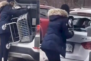 Воровку настигла расплата за попытку похищения продуктовой тележки