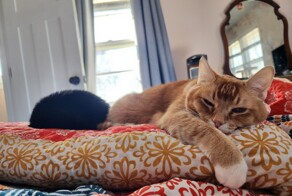 С добрым утром