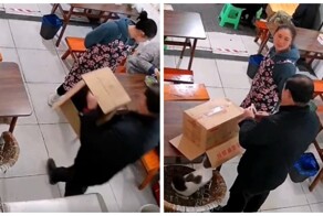 Кот облюбовал коробку