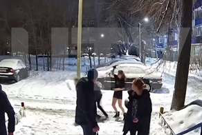 Дрались все — парни, девушки, собаки: в Орске камера зафиксировала массовую драку