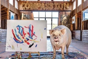 В ЮАР умерла свинья-художник, которая заработала на картинах более $1 млн