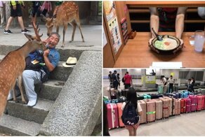18 фото из повседневной жизни в Японии. Некоторые вещи действительно сложно понять
