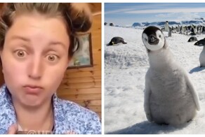 Работа мечты