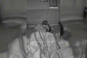 Владельцы собак и их «спокойные ночи»