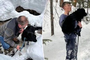Собака провела 10 дней в снежном плену
