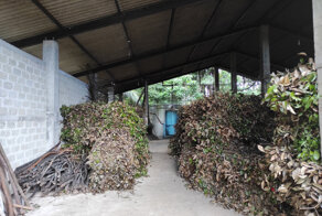 Как собирают настоящую корицу на Шри-Ланке и почему её почти не купить в России