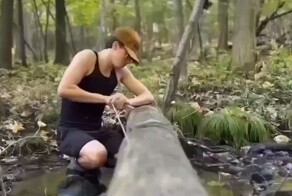 Чтобы распилить дерево пластиковым ножом, потребуется 9 часов