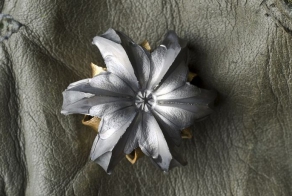 Попробуйте отгадать - что это за цветочек? (2 фото)