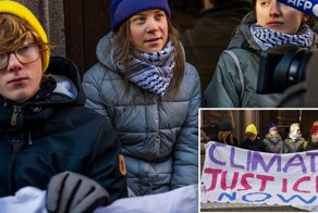 Полиция разогнала протест Греты Тунберг у парламента