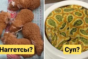 18 животных, которые по любопытной случайности имеют вопиющее сходство с едой