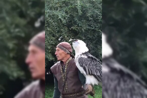 Знакомьтесь, птица Бородач!
