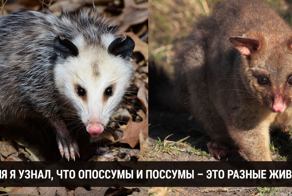 Факты, которые доказывают, что учиться никогда не поздно