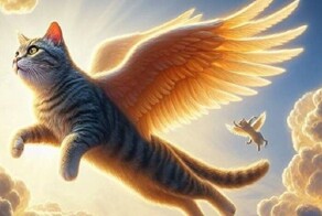 За убийство бездомного котика в Турции живодёра приговорили к рекордному тюремному сроку