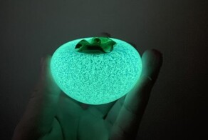 12 необычных вещей, которые люди не смогли идентифицировать