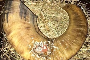 18 человек, которых сразило наповал творчество рестораторов