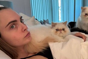 В США при пожаре спасли кошек модели и актрисы Кары Делевинь