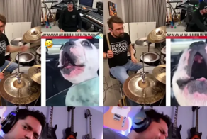 Музыканты со всего мира записали совместный трек с говорливым псом