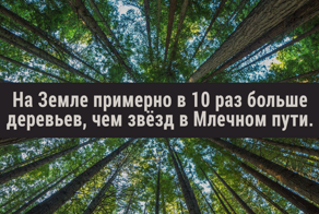 Удивительнык факты, в которые сложно поверить