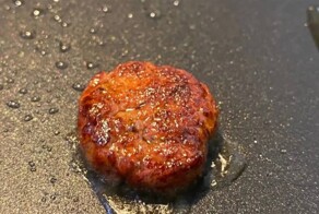 Учёные из США предложили заменить мясо плесенью