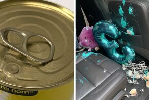 15  моментов из жизни, которые были созданы, чтобы стать последней каплей