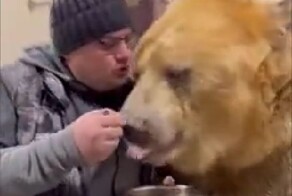 Медведь, который любит кашу