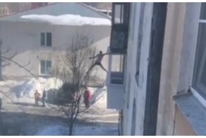 Неадекватный мужчина без штанов перелез с балкона на дерево
