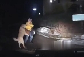 Без ДТП. В нужном месте в нужное время